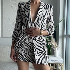 Zara Zebra Print Blazer and Skirt Set